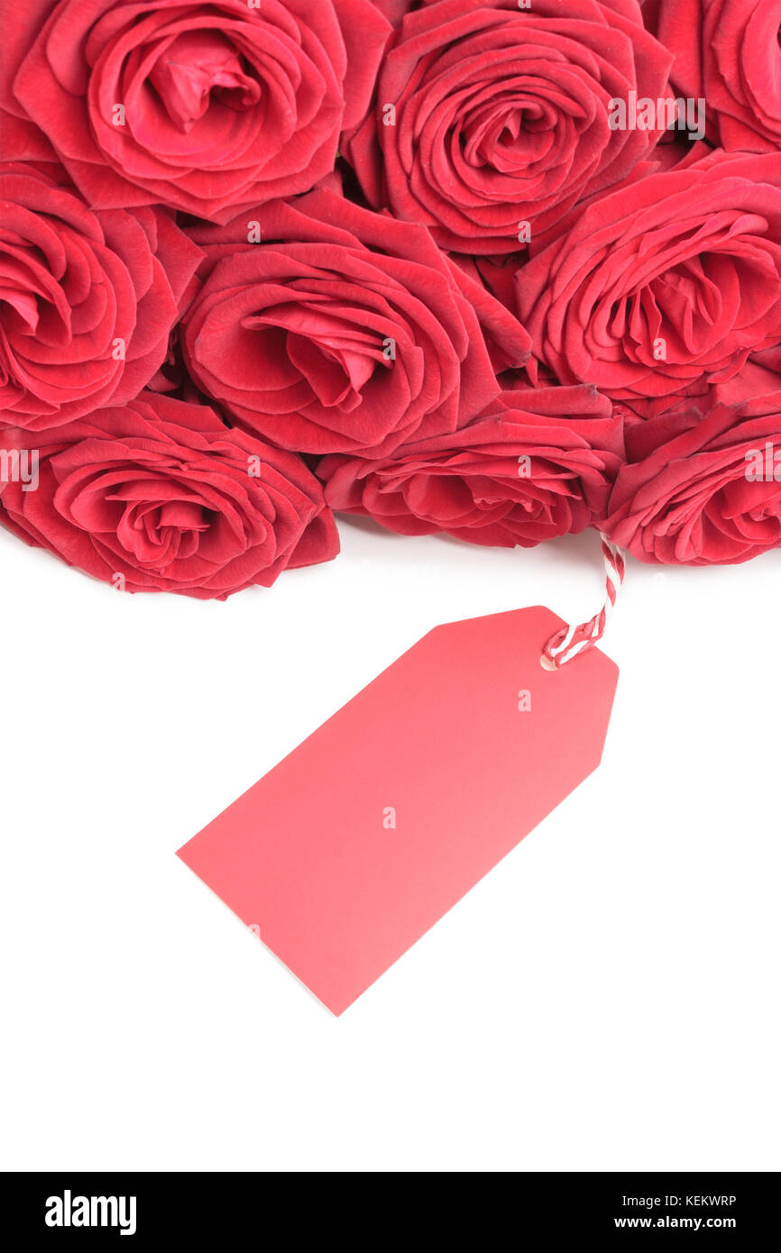 Blank card with roses. View from above Stock Photo