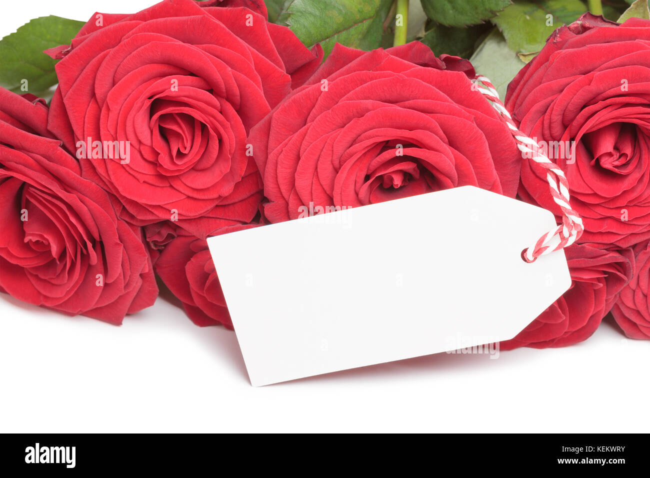 Blank card with roses  Stock Photo