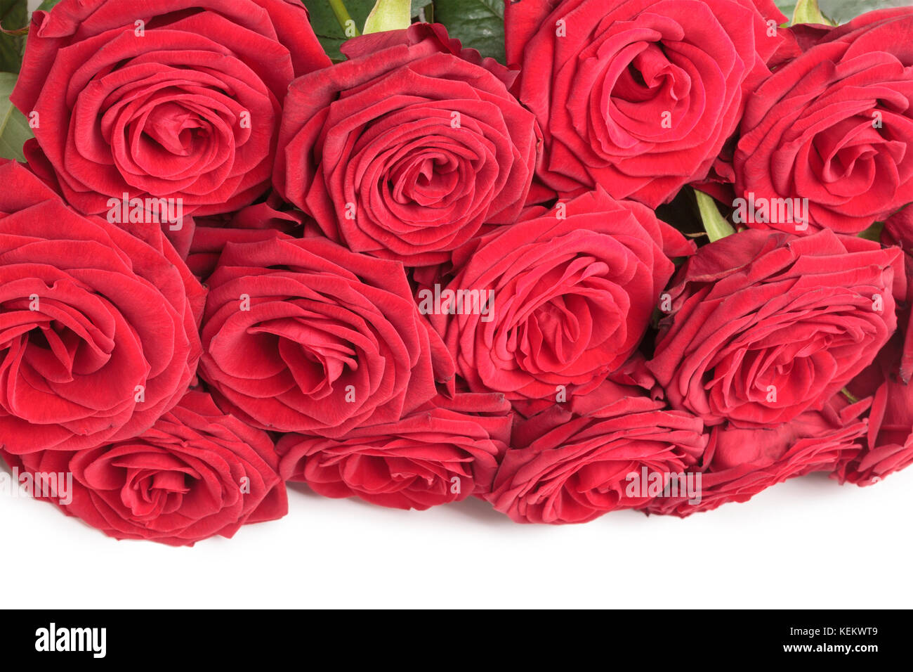 Red roses on white Stock Photo - Alamy