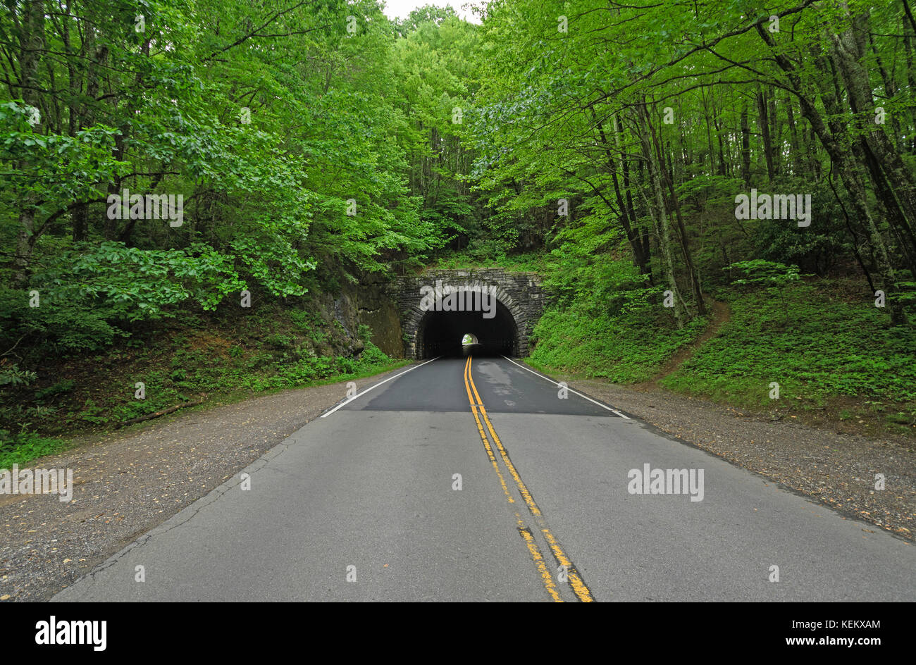 Tanbark ridge tunnel hi-res stock photography and images - Alamy