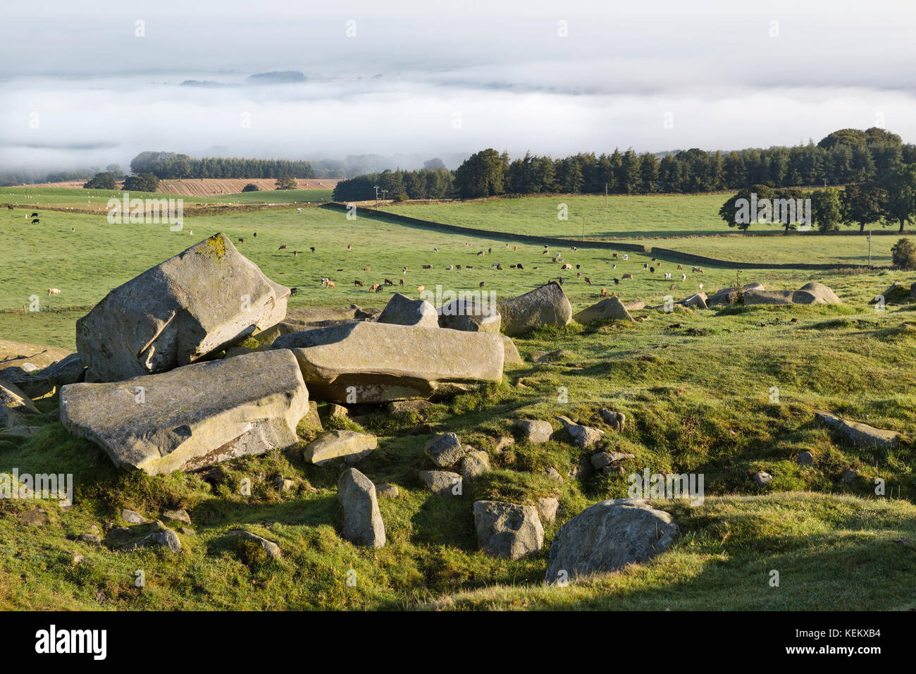 Dawn hadrians wall northumbria north hires stock photography and
