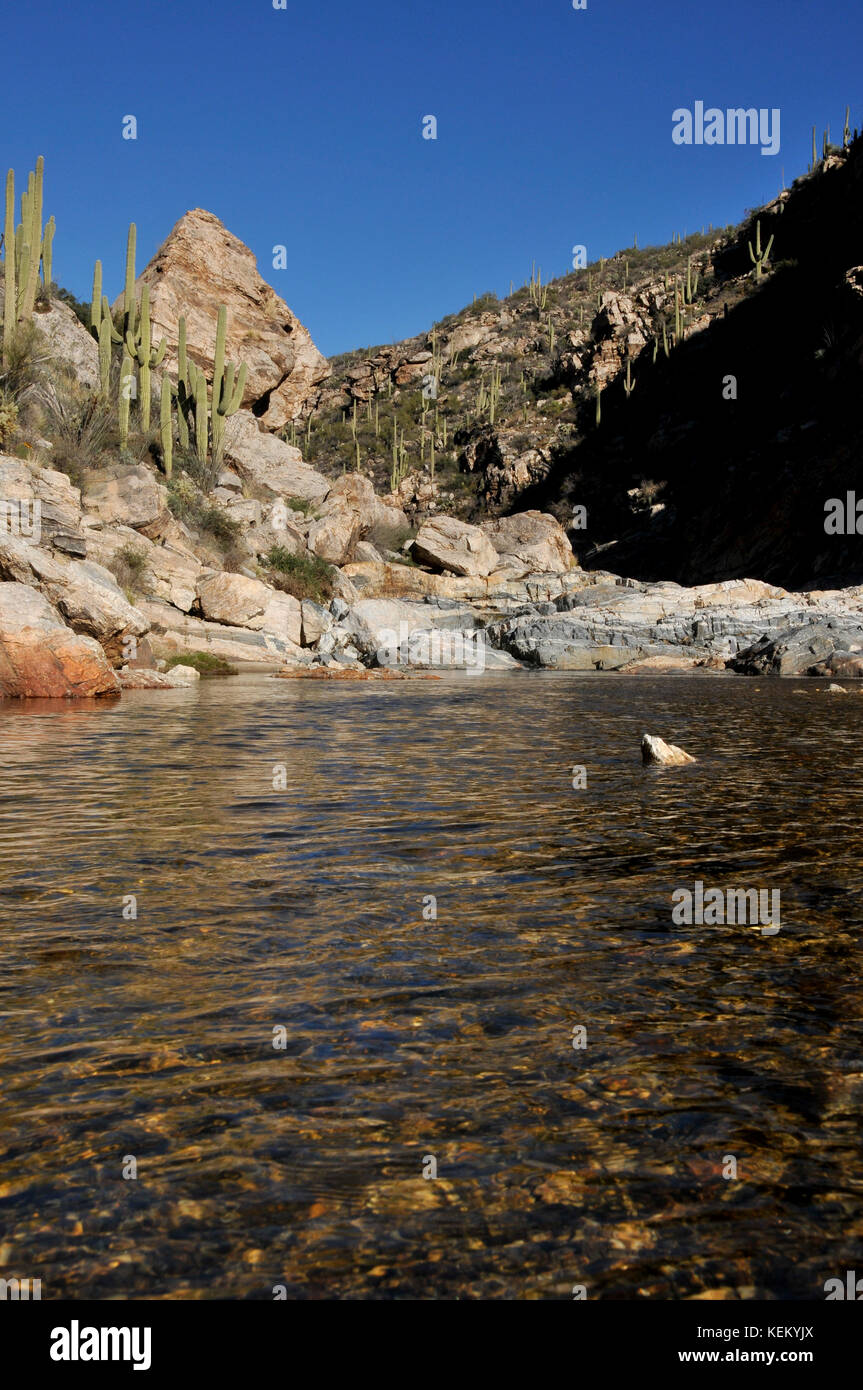 Saguaro cactus line the lower falls of Tanque Verde Falls at Tanque