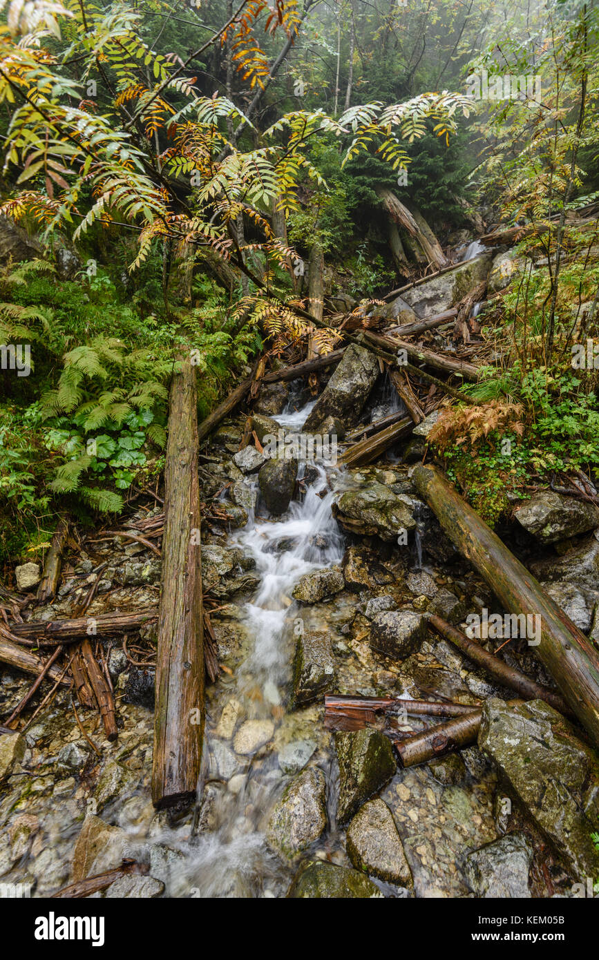 Waterfall from ravine in autumn, long exposure, in mountain river with ...