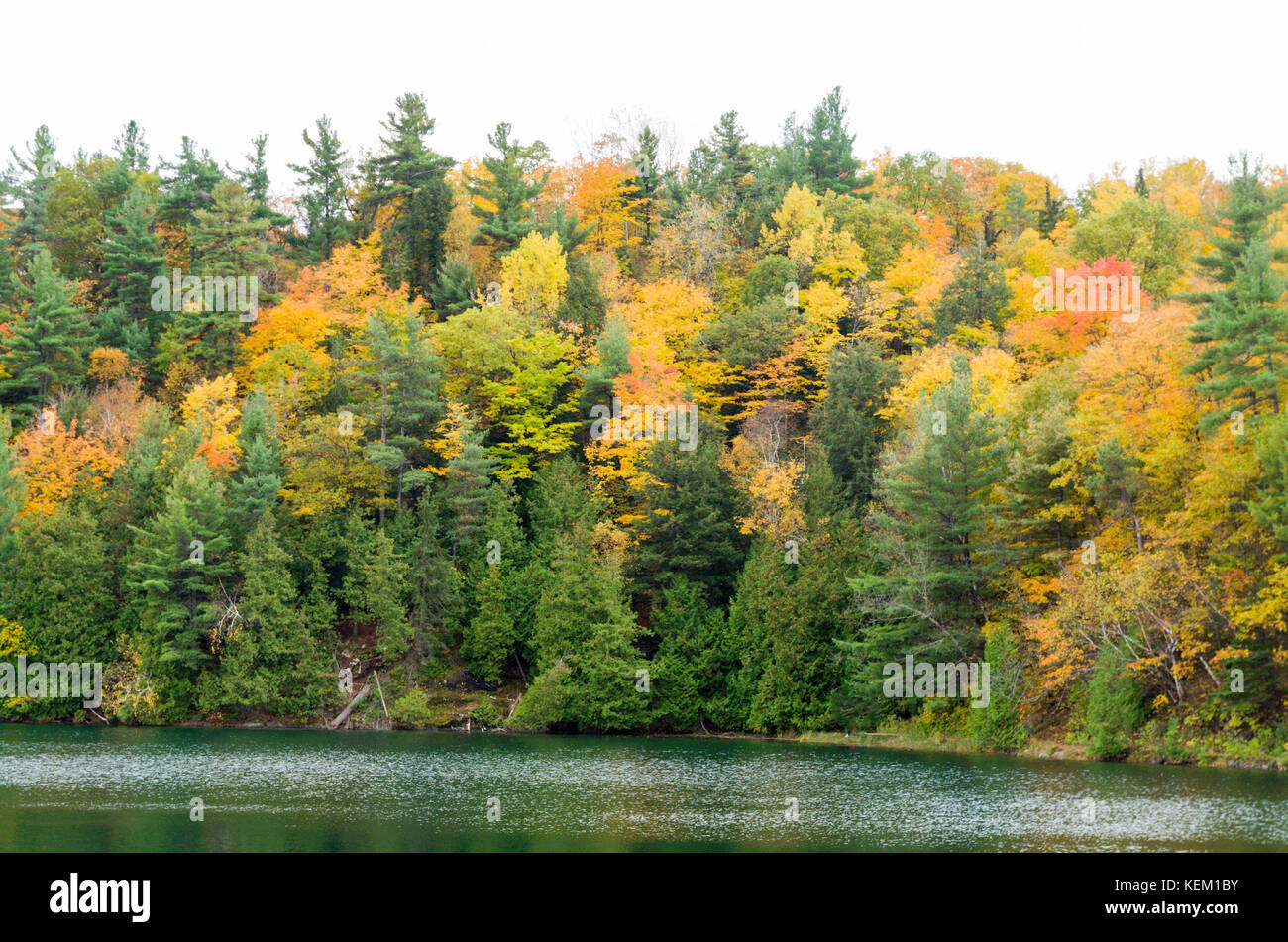 Pink lake gatineau park hires stock photography and images Alamy