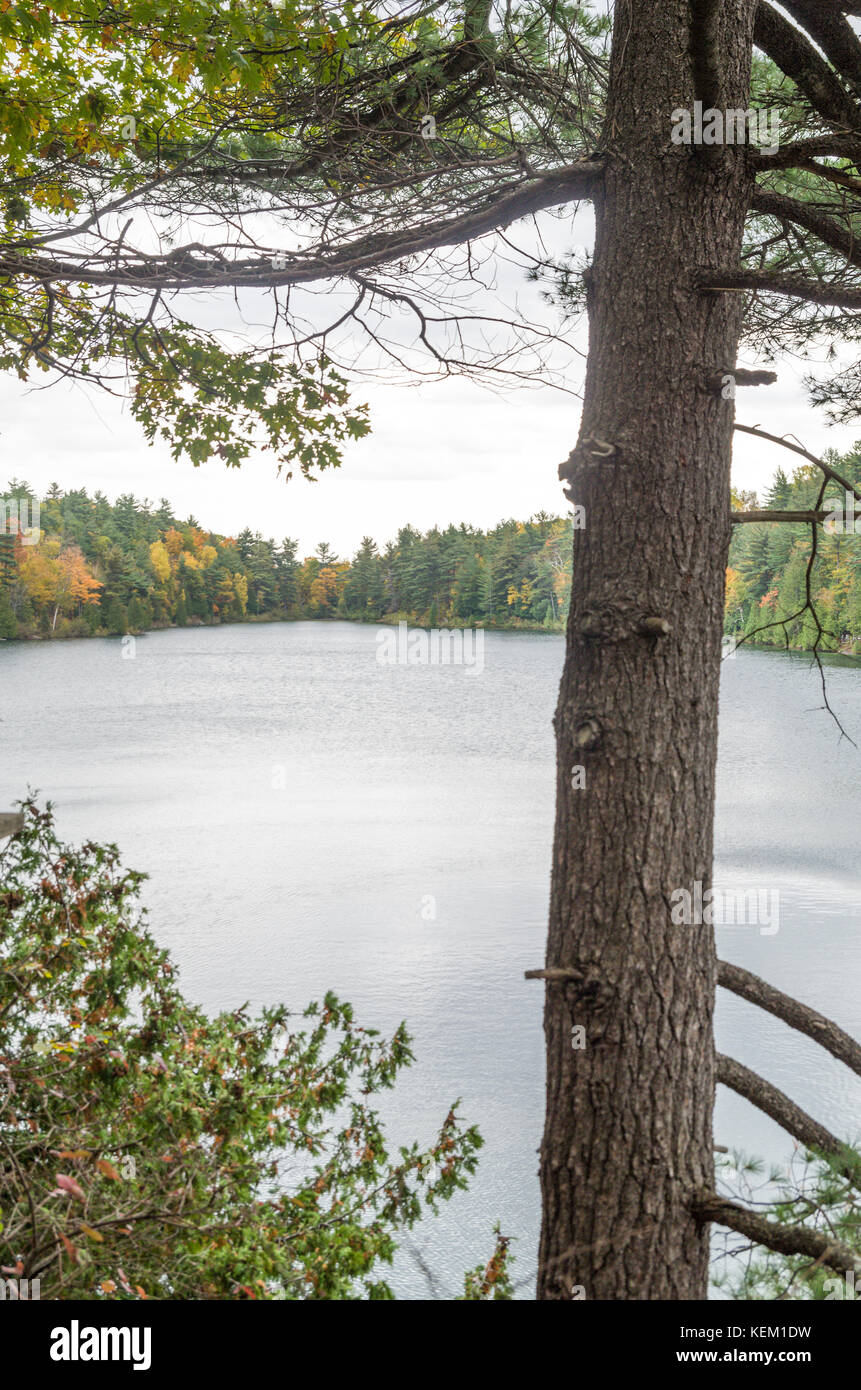 Pink lake gatineau park hires stock photography and images Alamy