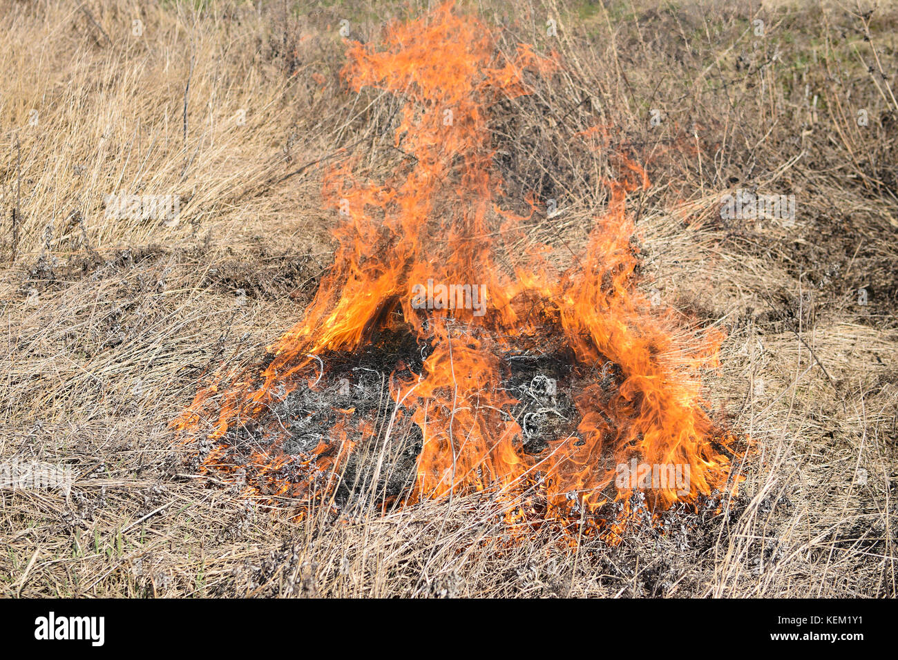 Burning dry grass and reeds. Cleaning the fields and ditches of the