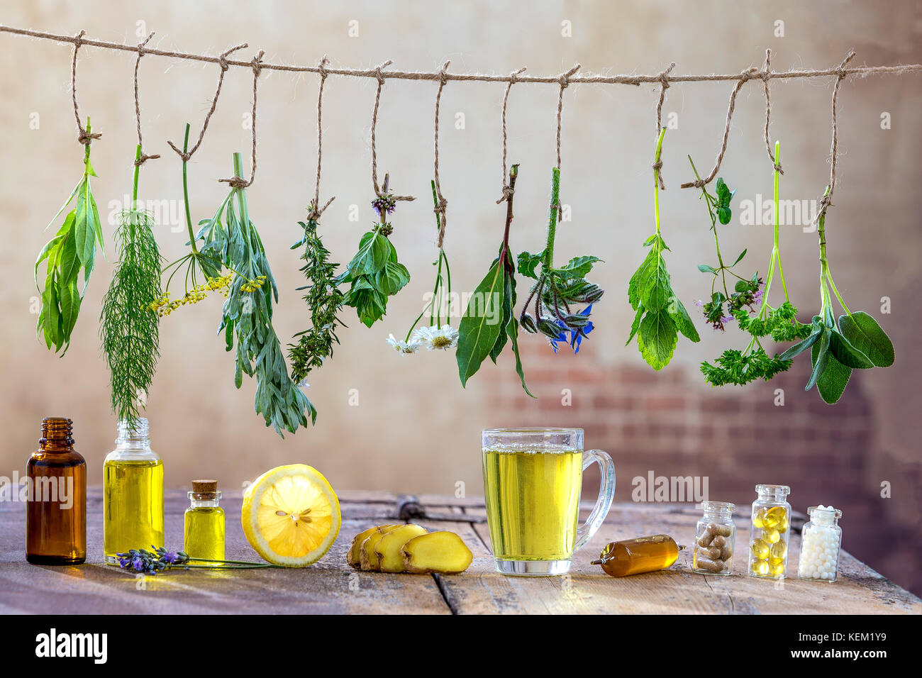 Various fresh herbs and herbal tea border on white background fresh medicinal plants hanging up Preparing medicinal plants for phytotherapyand health  Stock Photo