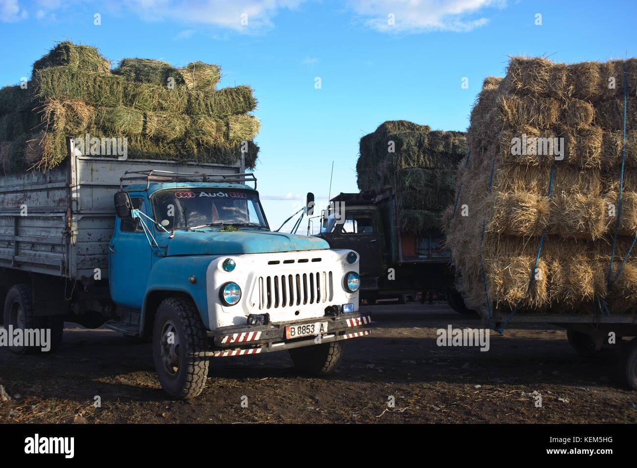 Trucks carrying fodder. The blue one is a Gaz 53 truck, Gaz being a soviet carmaker ( Kyrgyzstan). Stock Photo