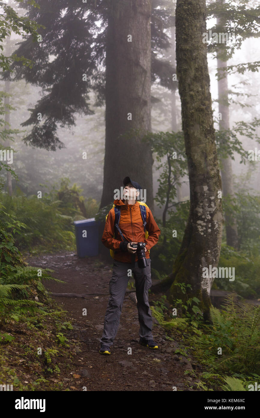 Photo of man with camera looking up in woods by foggy day Stock Photo