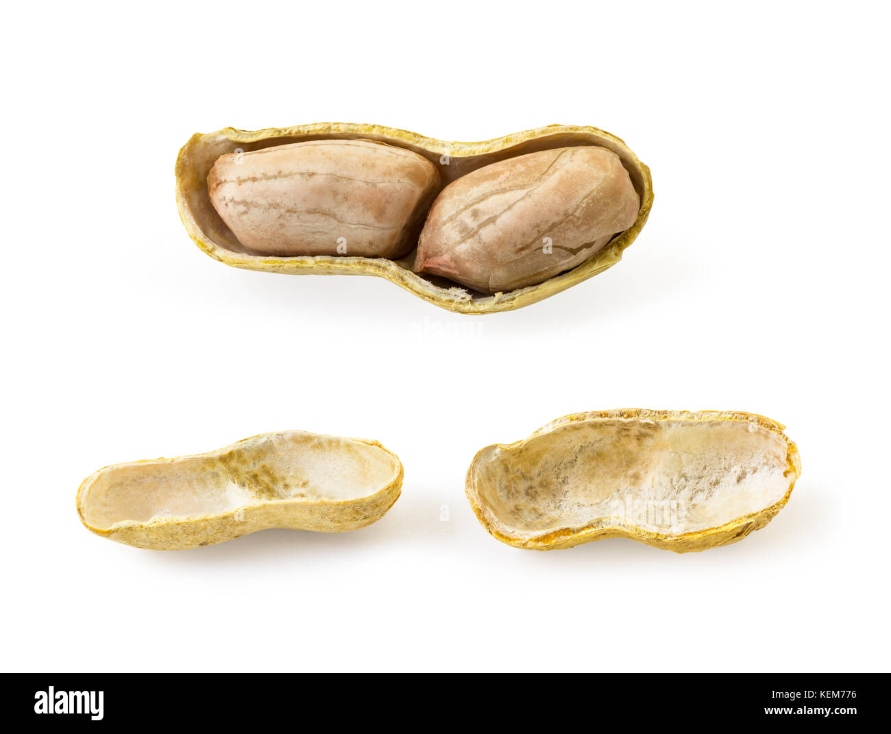 Peanut shells isolated on white background (clipping path included