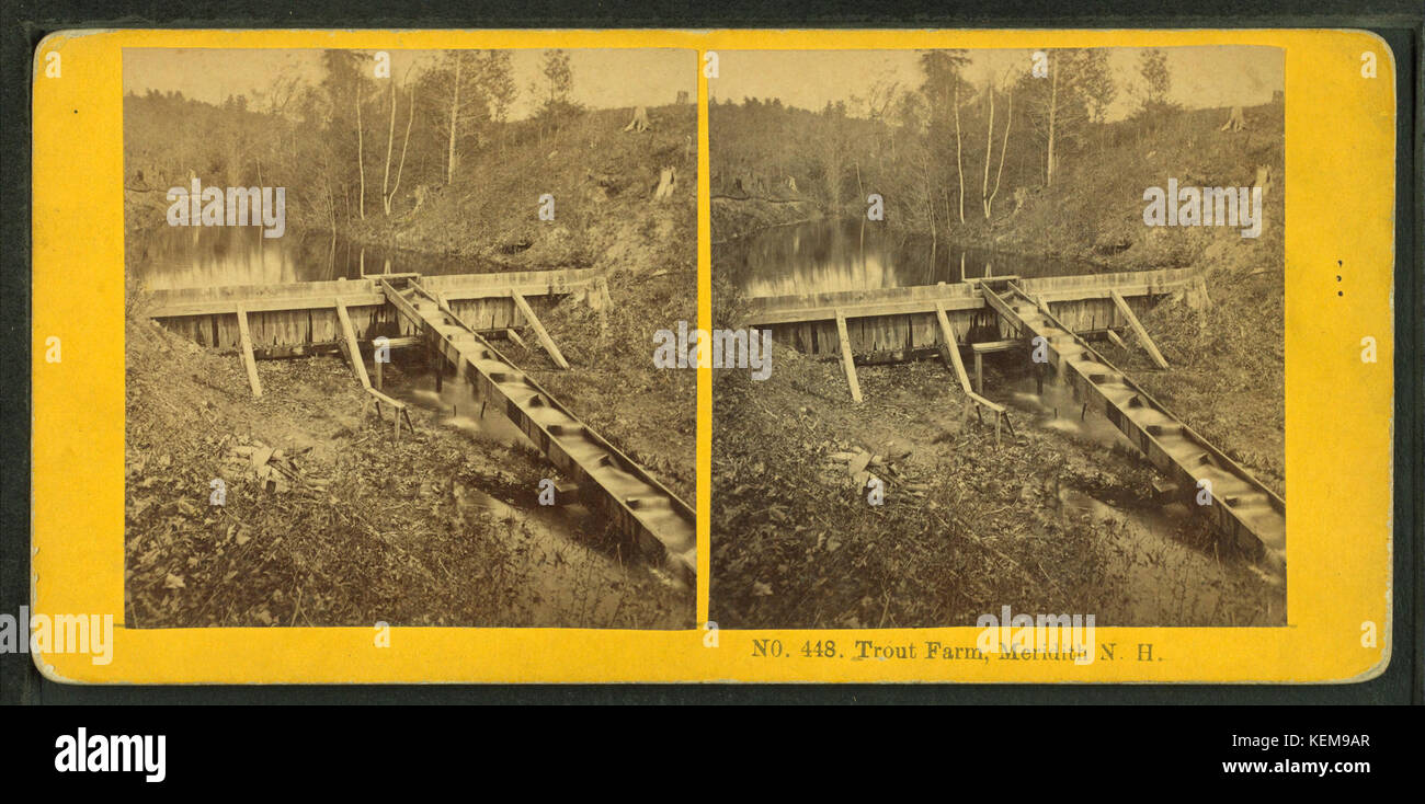 Trout Farm, Meridith, N.H, from Robert N. Dennis collection of