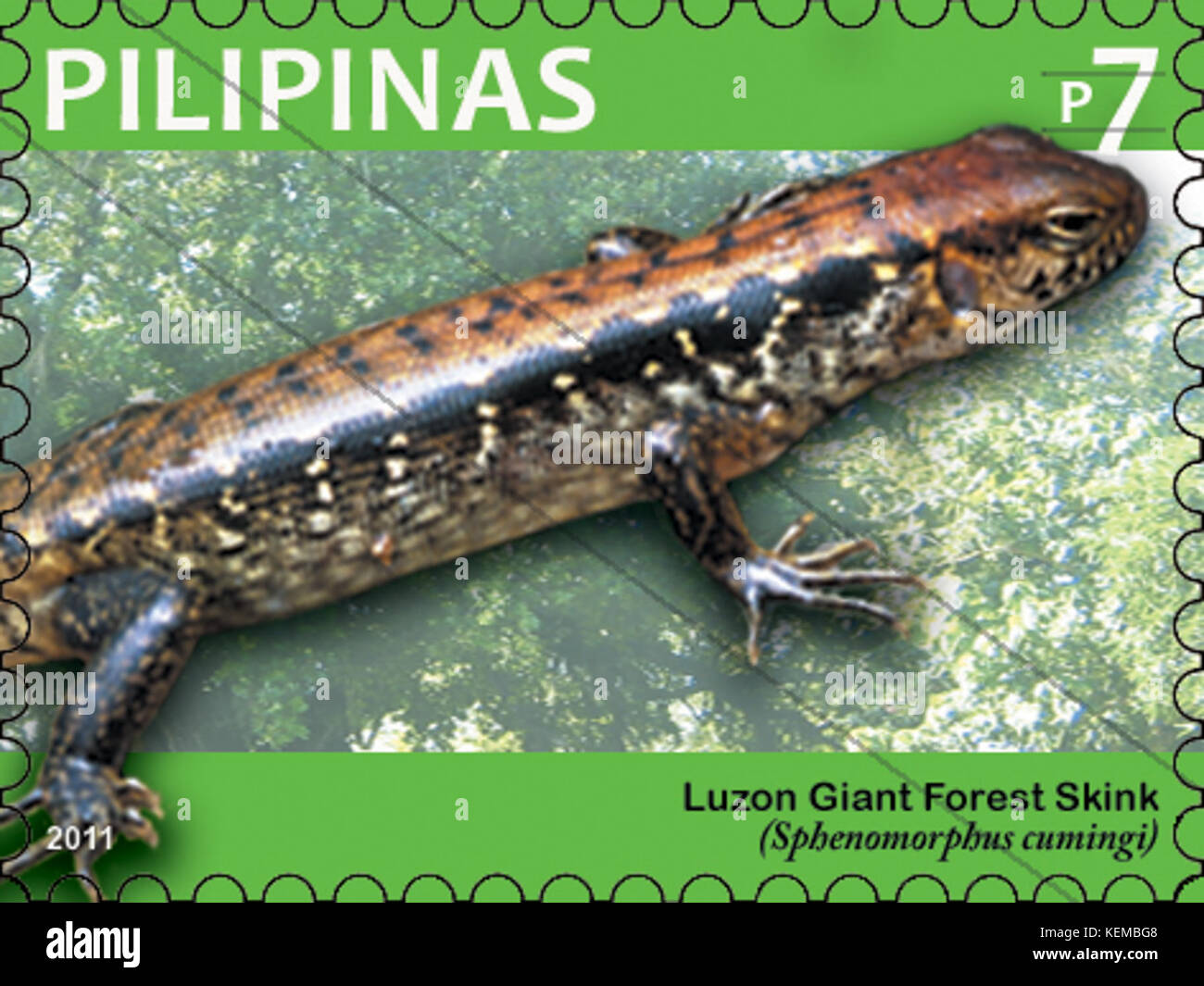 Sphenomorphus cumingi 2011 stamp of the Philippines Stock Photo