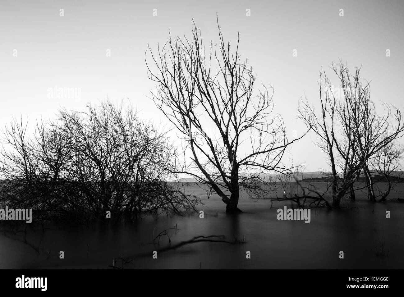 Long exposure view of a lake, with skeletal trees and still water Stock Photo
