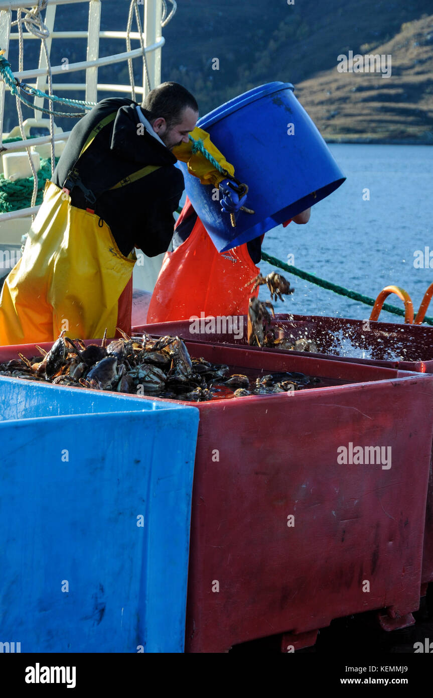 A French trawler moored in Ullapool harbour in Loch Broom. The boat's crew unloaded their catch of crabs from the north sea. Wester Ross, Scotland. Stock Photo