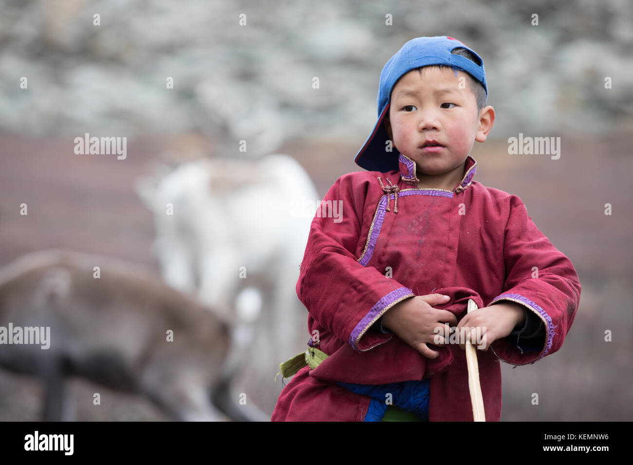 Little tsaatan boy in traditional Mongolian nomad outfit posing with ...