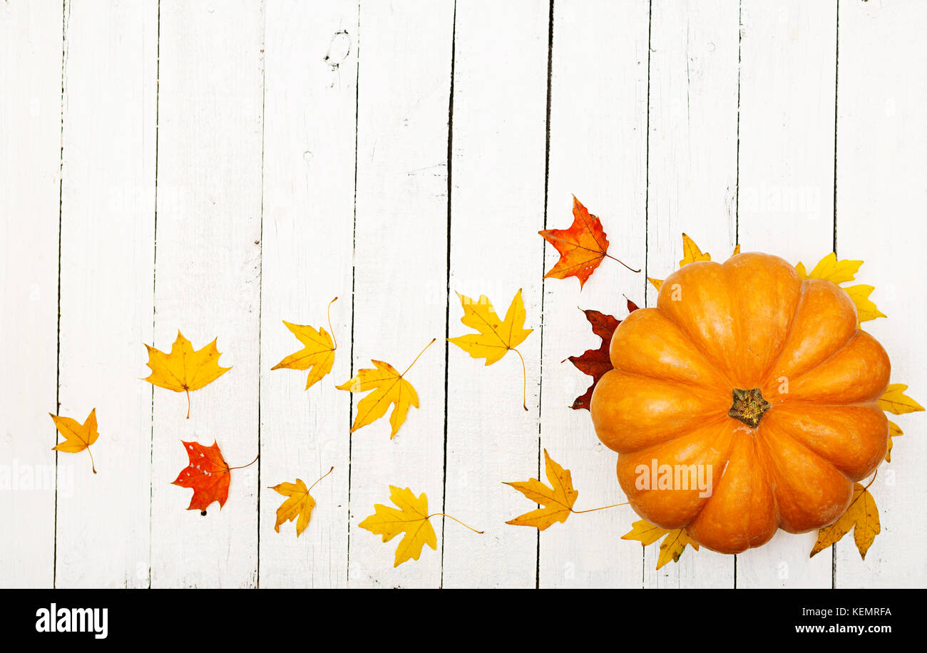 Thanksgiving background: Pumpkins and fallen leaves on white wooden ...