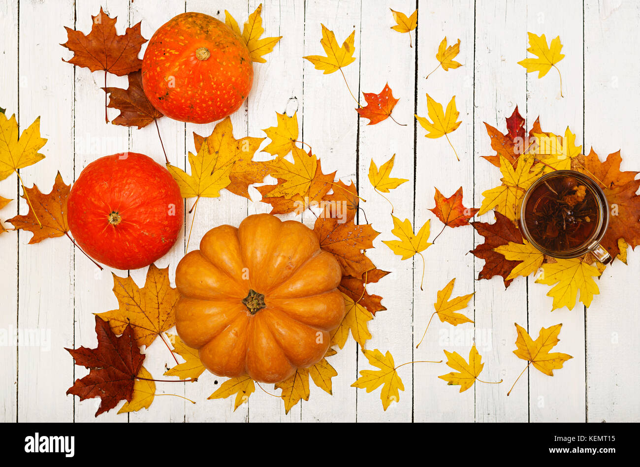 Thanksgiving background: Pumpkins and fallen leaves on white wooden ...