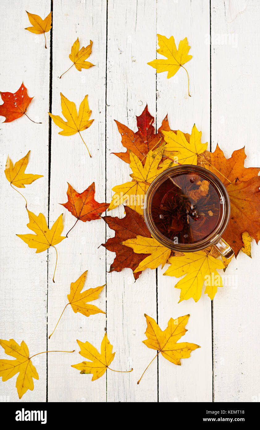 Thanksgiving background: Pumpkins and fallen leaves on white wooden background. Halloween or Thanksgiving day or seasonal autumnal. Flat lay. Top vi Stock Photo