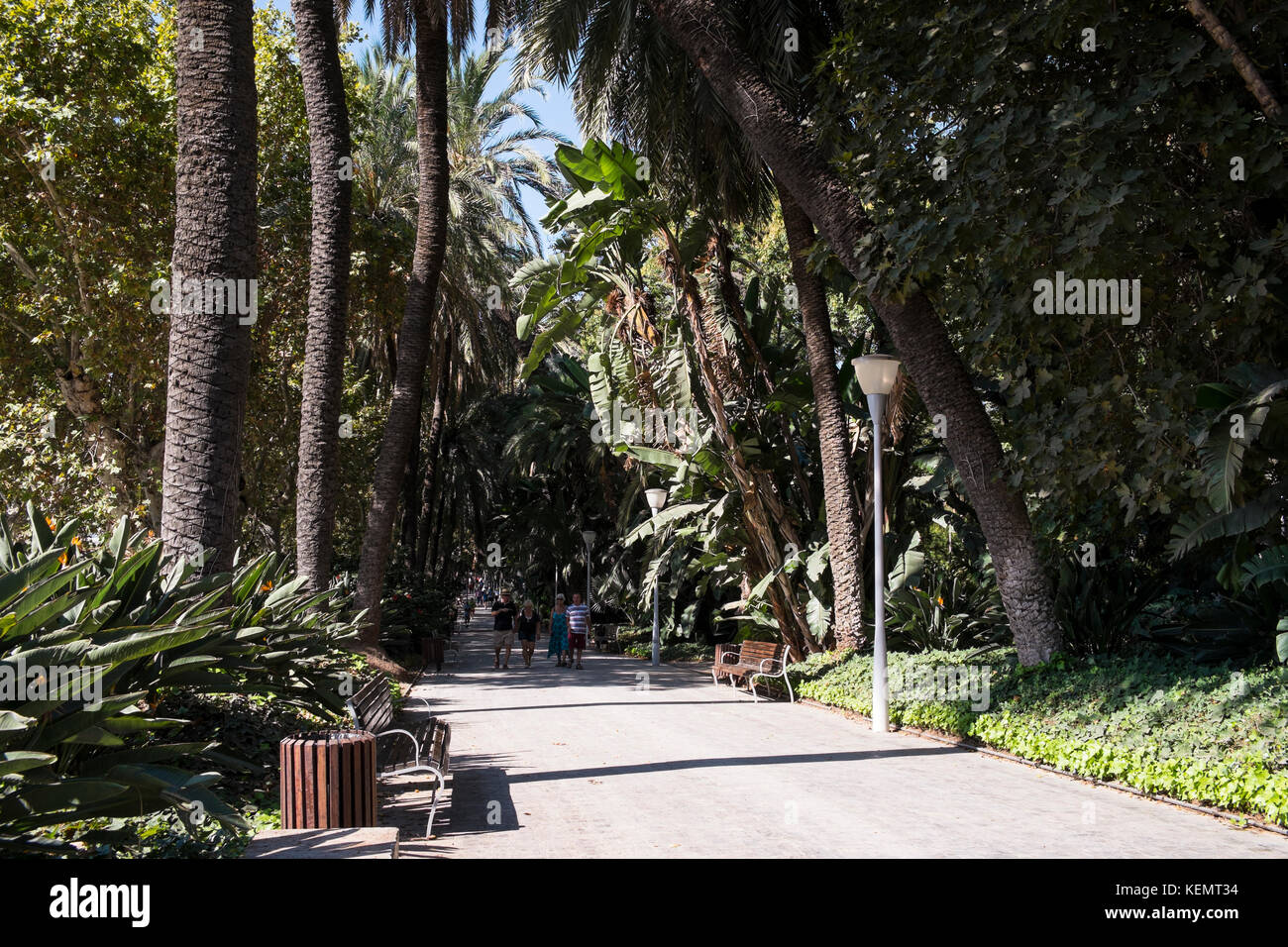 The park of Málaga (El Parque). Andalusia, Spain. Stock Photo