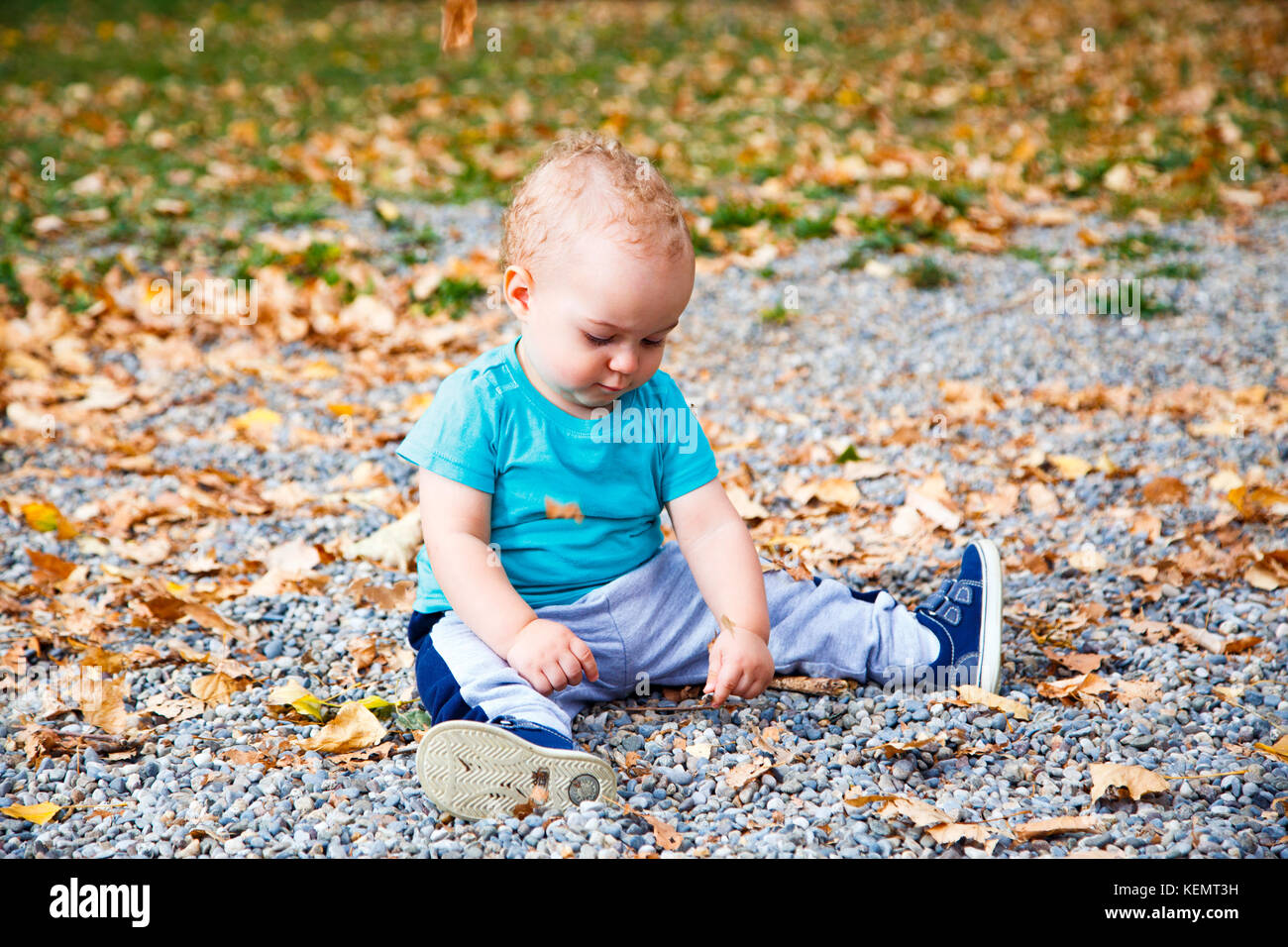 Little boy playing with autumn leaves in park Stock Photo - Alamy