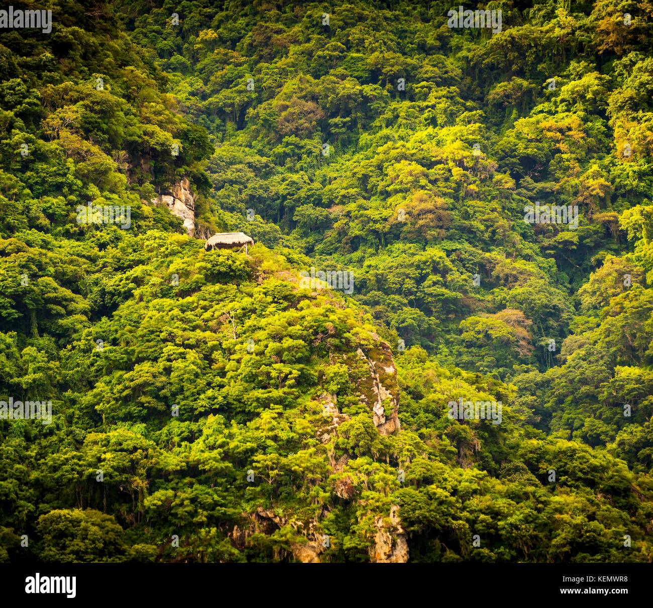 Hut on Lake Atitlan hillside in the forest Stock Photo