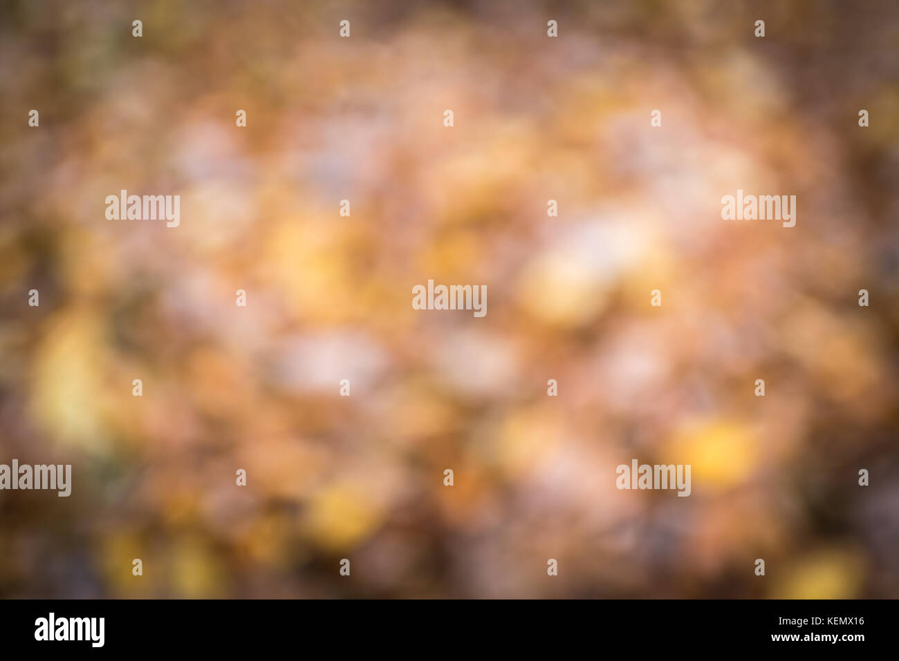 Abstract blurred autumn background, color, vignette effect Stock Photo
