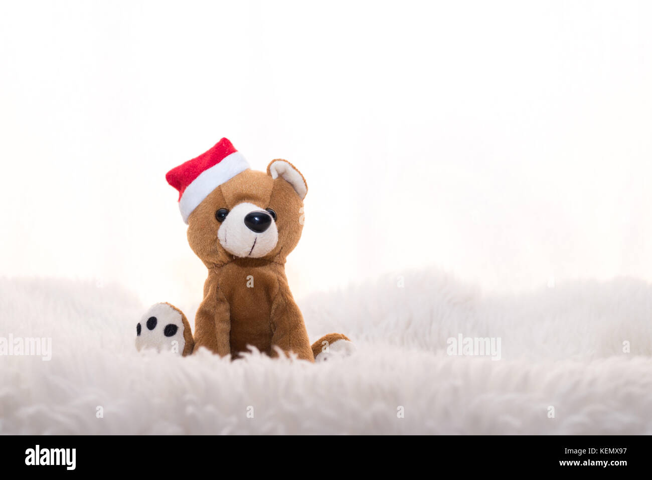 teddybear, teddy bear, fur, Stock Photo