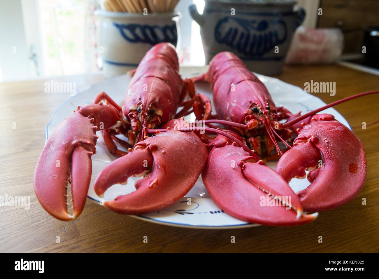 Two 2 whole boiled lobster on a plate in Norway Stock Photo