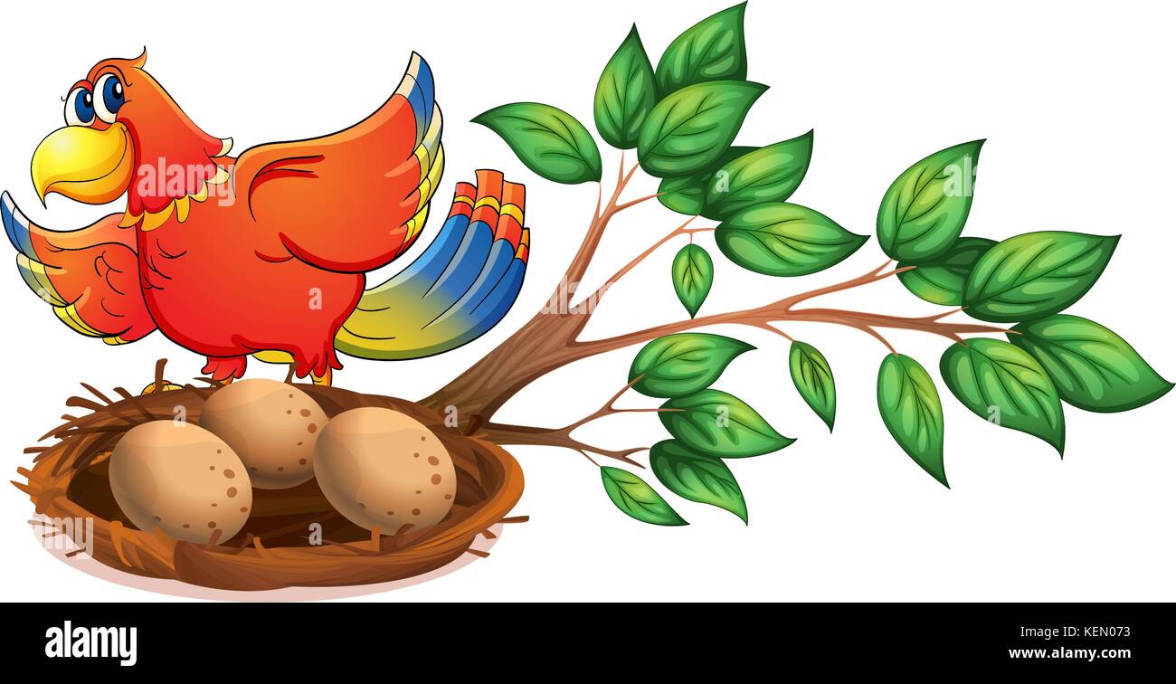 Illustration of a colourful bird at the branch of a tree with a nest on ...