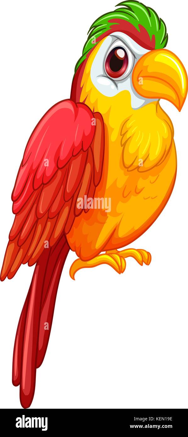 Illustration of a colorful parrot Stock Vector Image & Art - Alamy