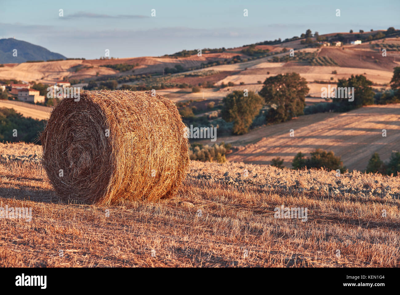 Hay bale in agriculture field Stock Photo - Alamy
