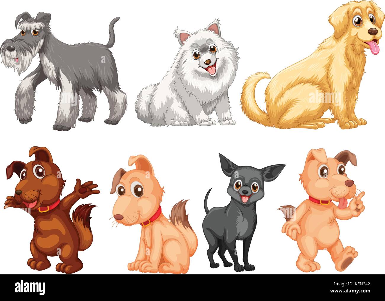 Dog collection on white background Stock Vector Image & Art - Alamy