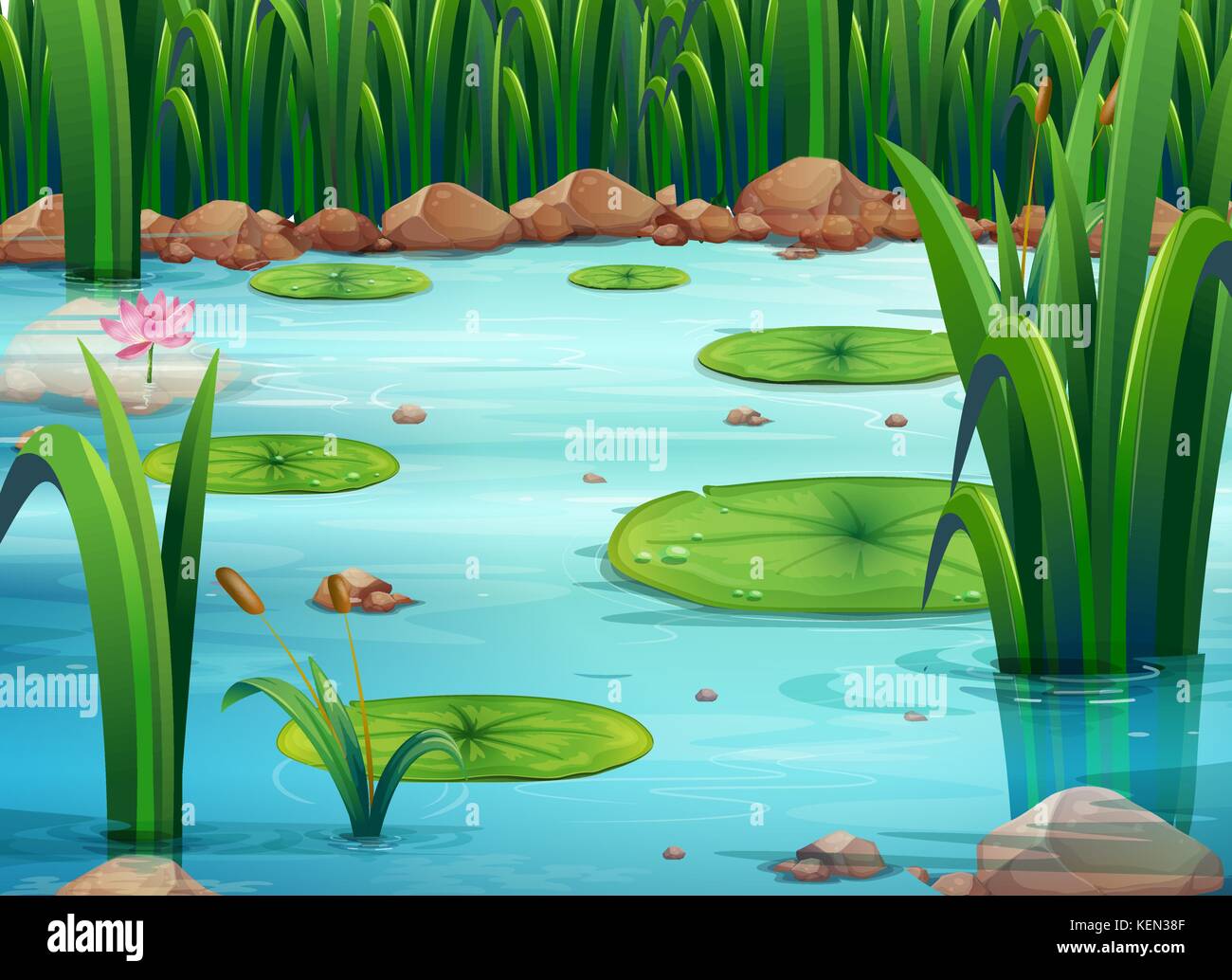 Illustration of a pond with green plants Stock Vector Image & Art Alamy
