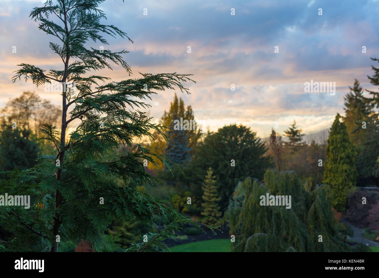 Sunset at Queen Elizabeth Park Stock Photo Alamy