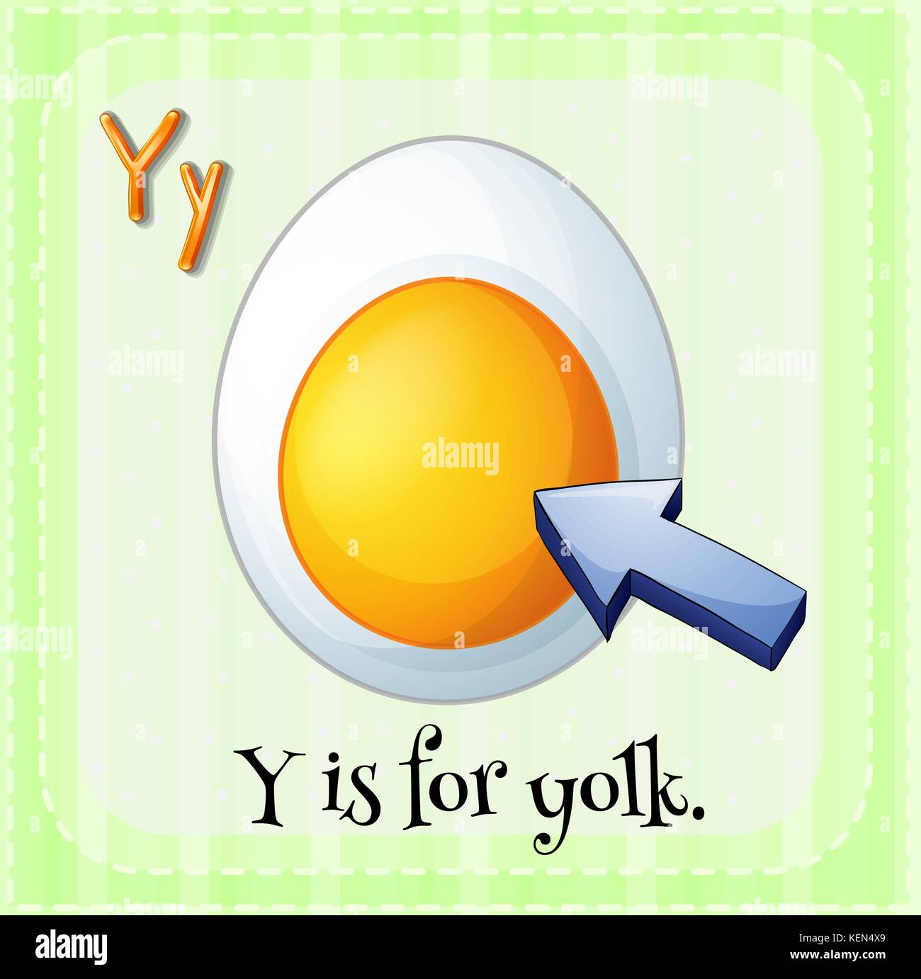 Illustration of a letter Y is for yolk Stock Vector
