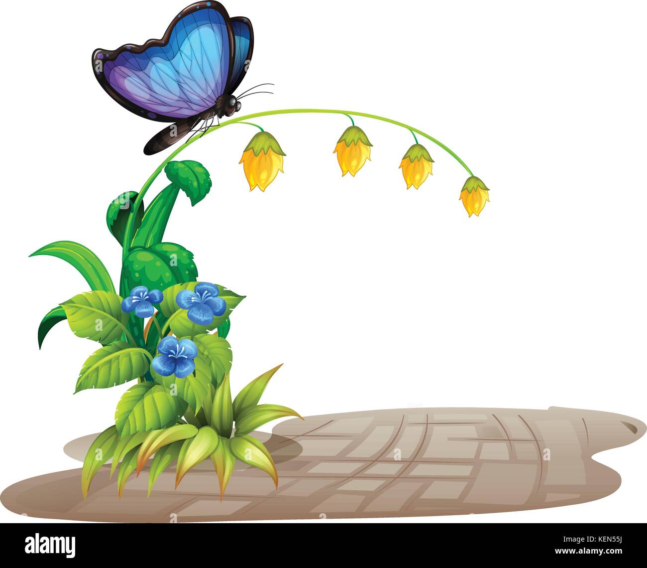 Illustration of a butterfly on flowers Stock Vector Image & Art - Alamy