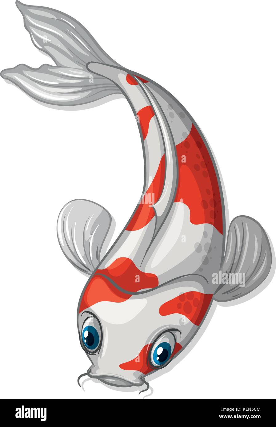 Illustration of a close up koi Stock Vector