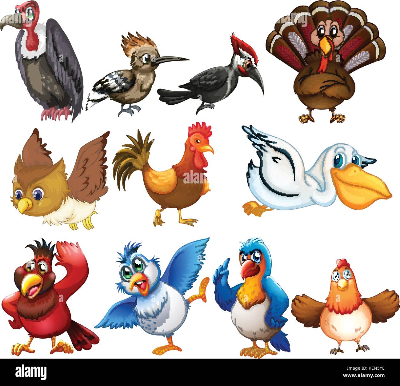 Illustration of different kinds of birds Stock Vector