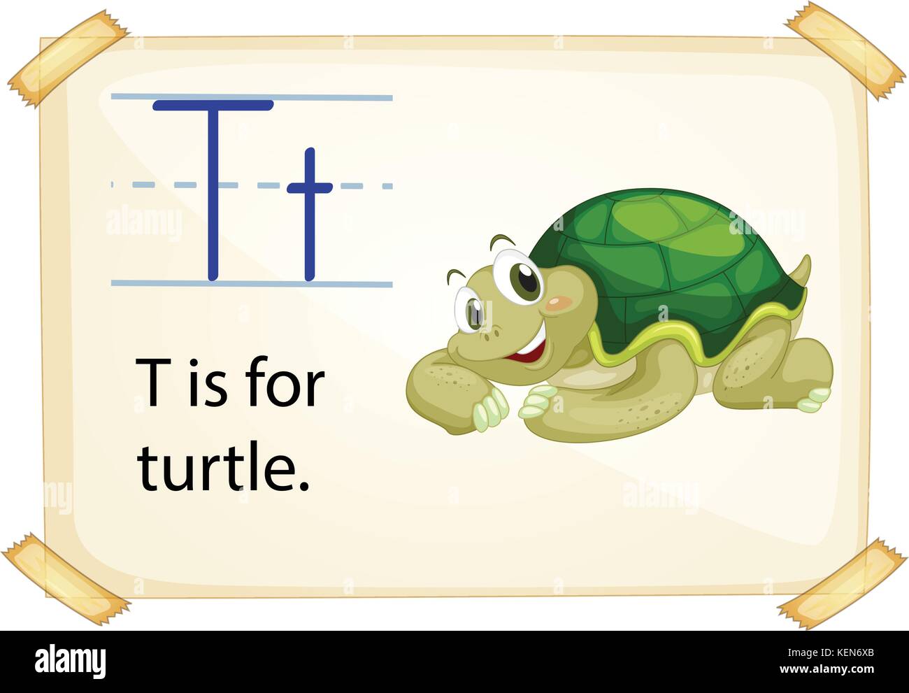 A letter T for turtle on a white background Stock Vector Image & Art ...