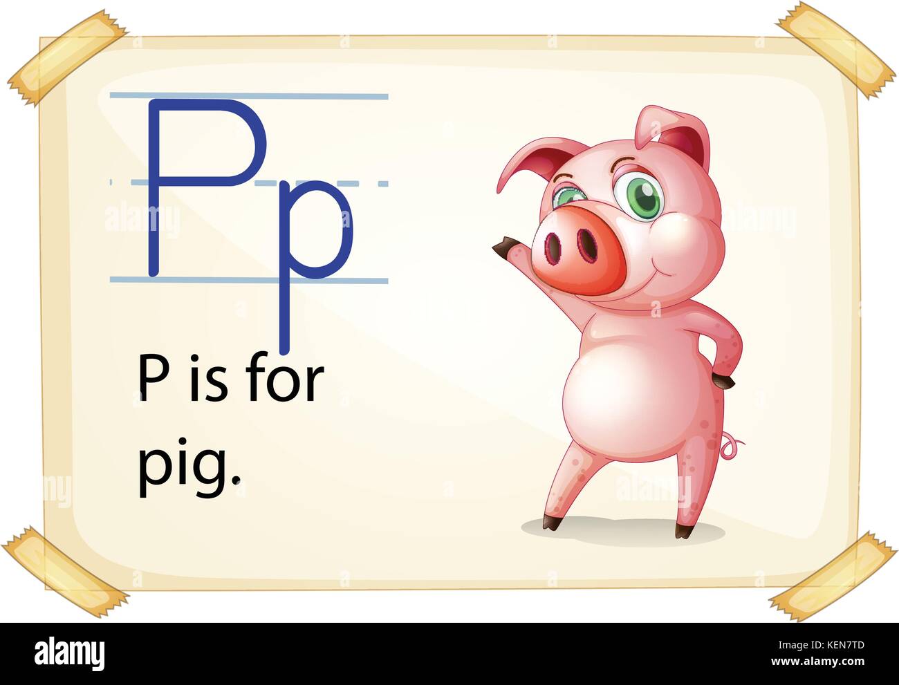 P p pig. Английская буква p pig поросенок. Pig карточка. Поросенок по английскому. Карточки по английскому поросенок.
