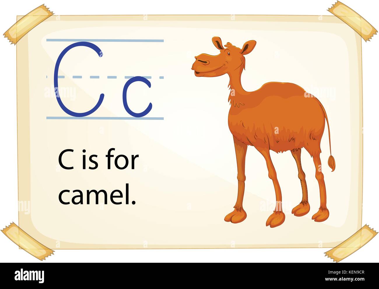 Illustration of alphabet C is for camel Stock Vector Image & Art - Alamy