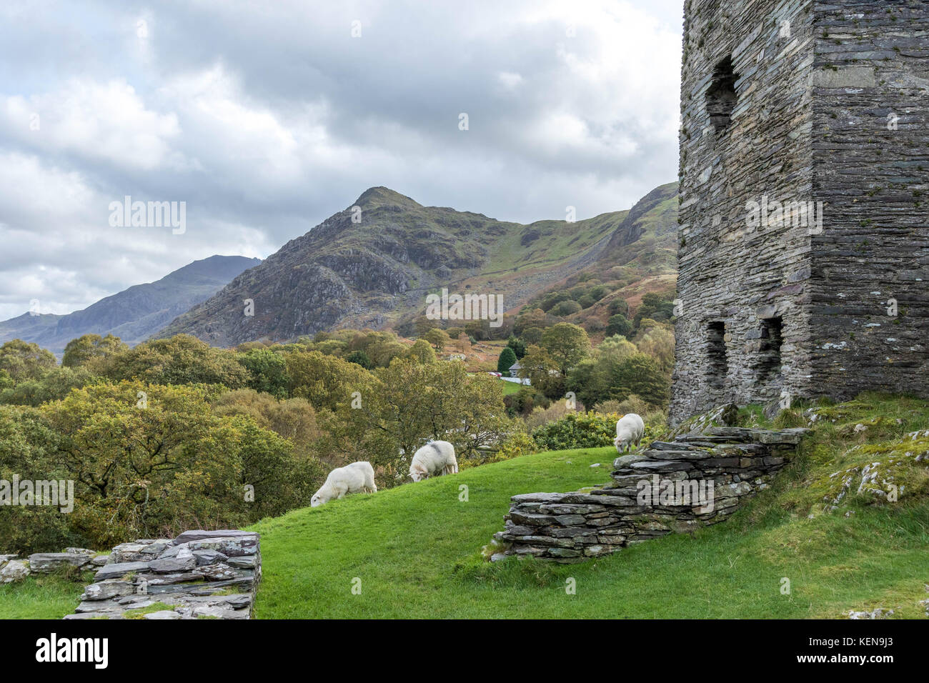 Dolbadarn Castle, Snowdonia, Wales Stock Photo
