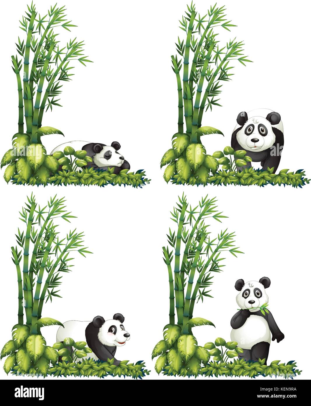 Illustration of panda with bamboo Stock Vector Image & Art - Alamy