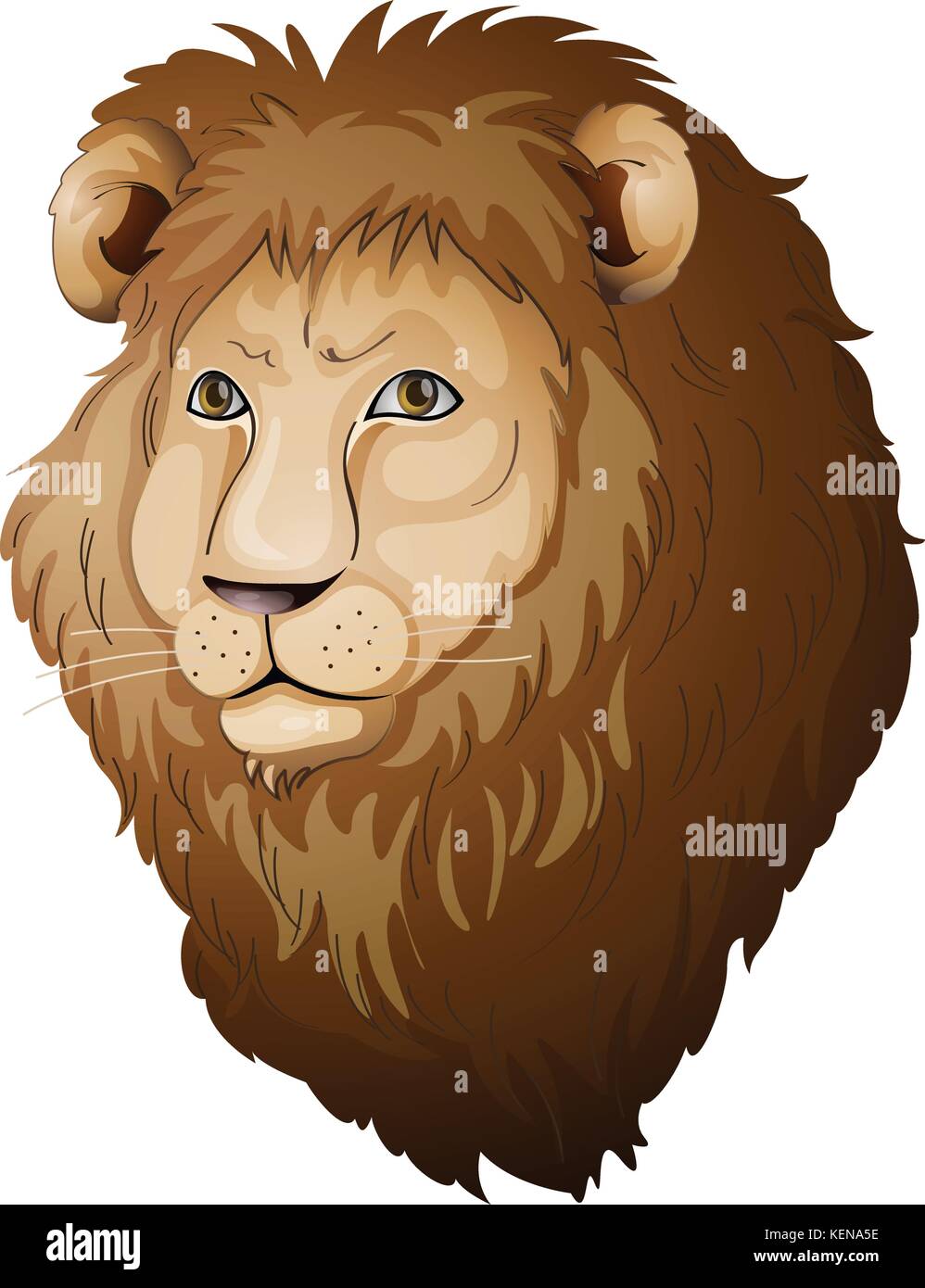 Illustration of a face of a lion Stock Vector Image & Art - Alamy