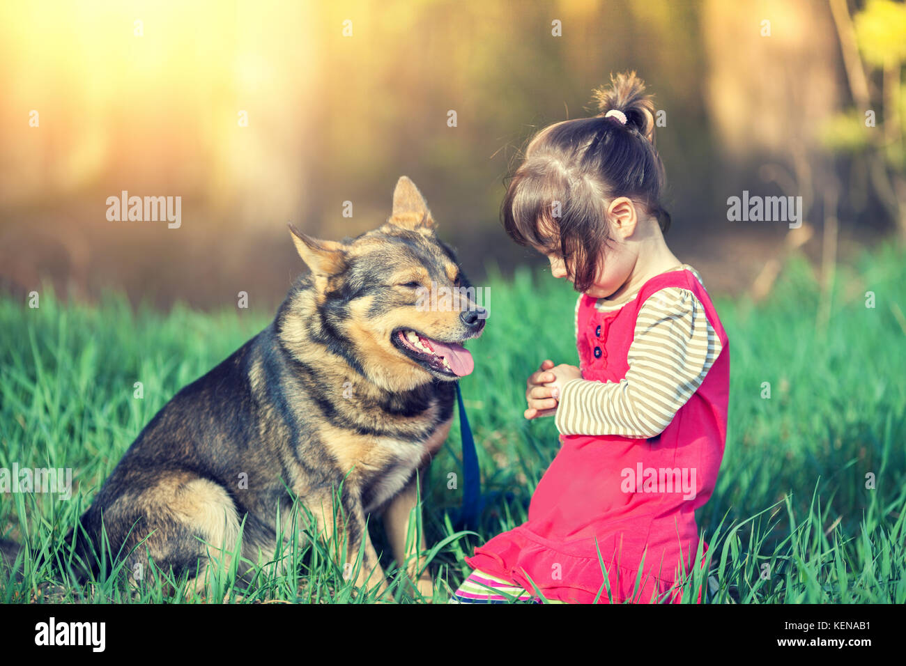 Happy little girl with her dog walking in the field Stock Photo - Alamy