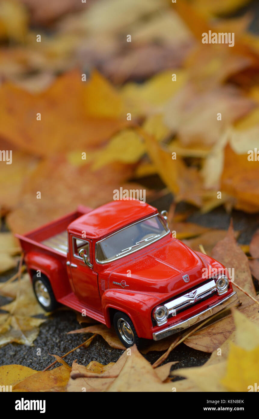 Little toy truck in fall leaves, taken with my macro lens Stock Photo