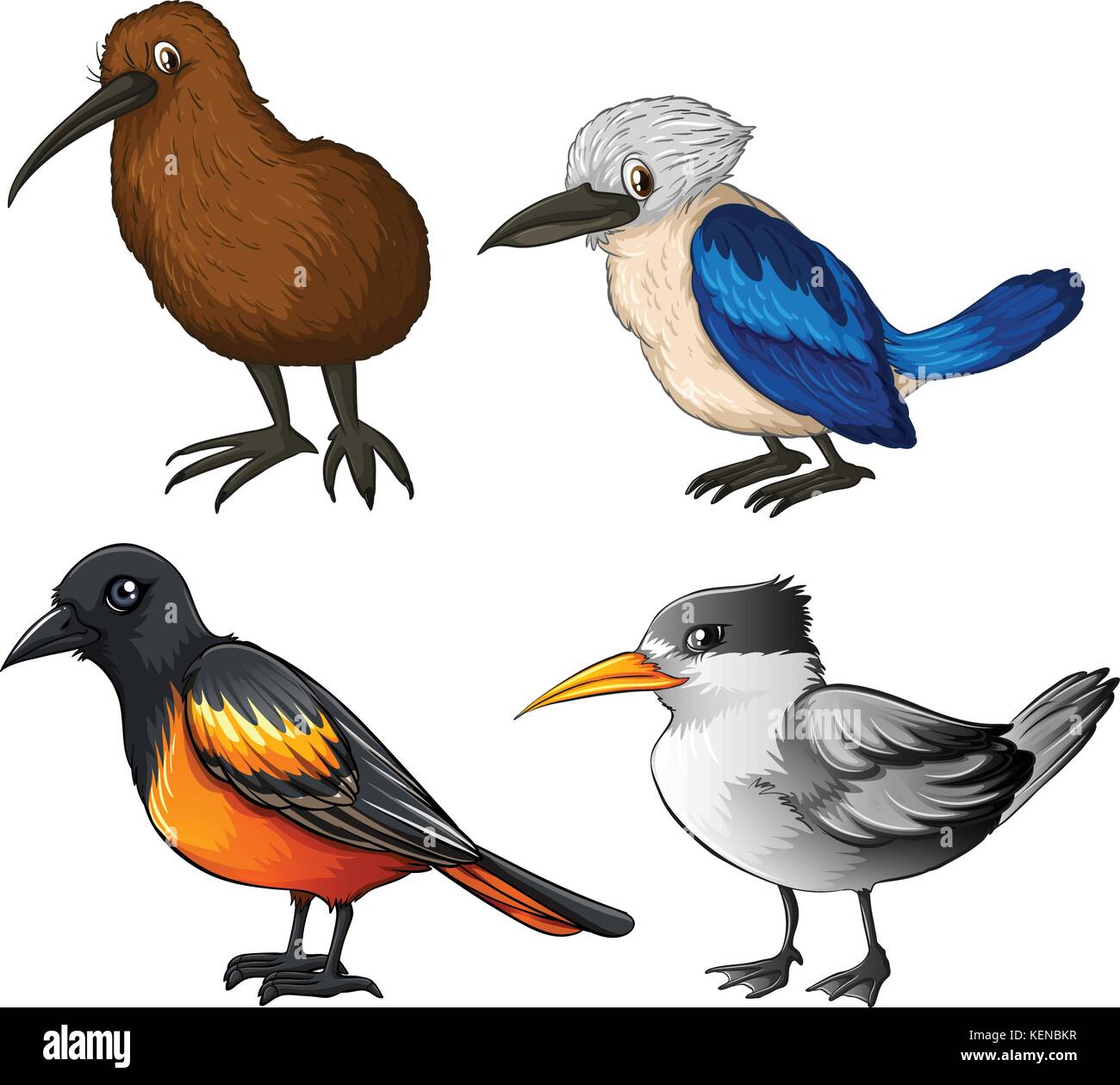 Illustration of four different kind of birds Stock Vector Image ...