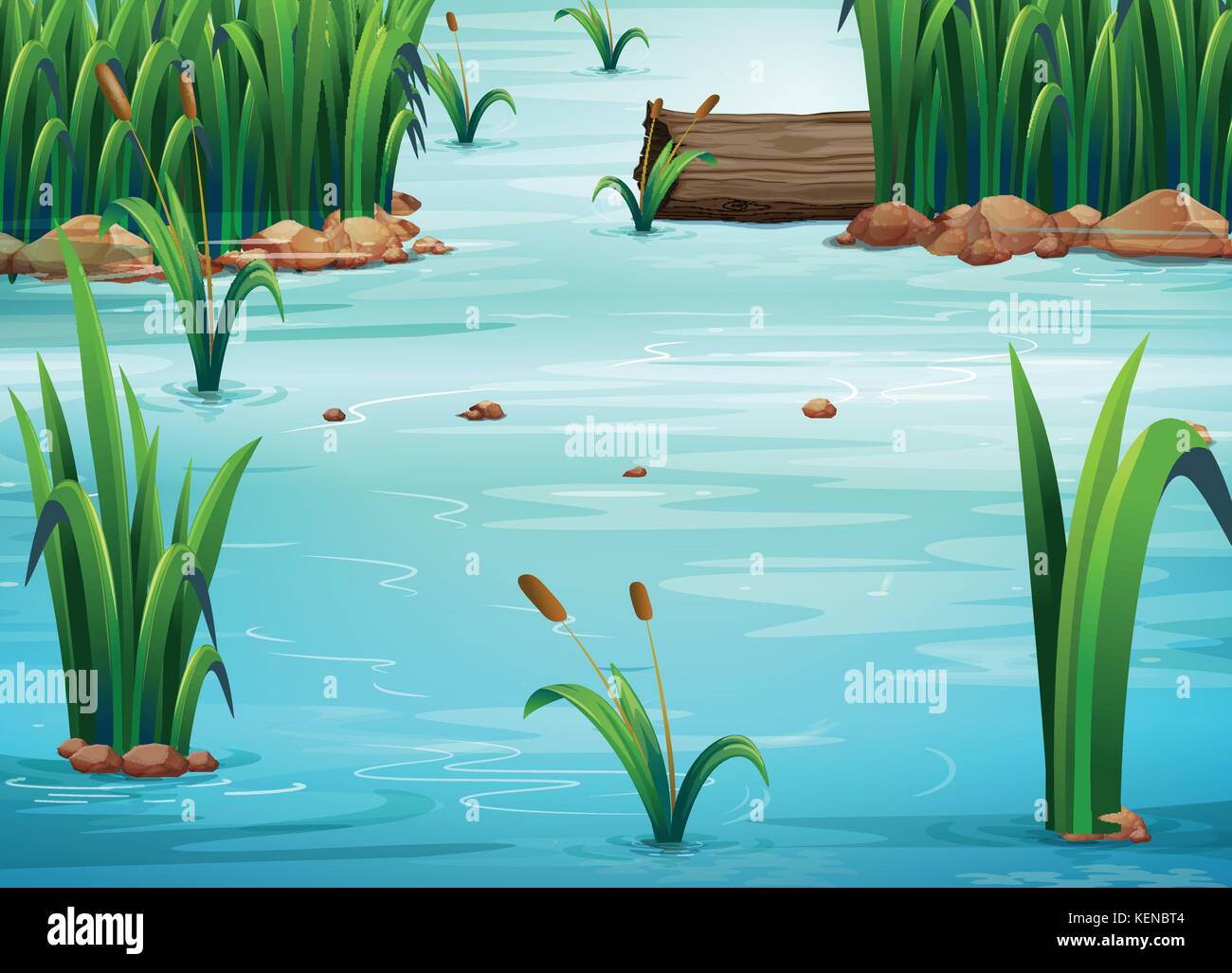 Illustration of a view of a pond Stock Vector