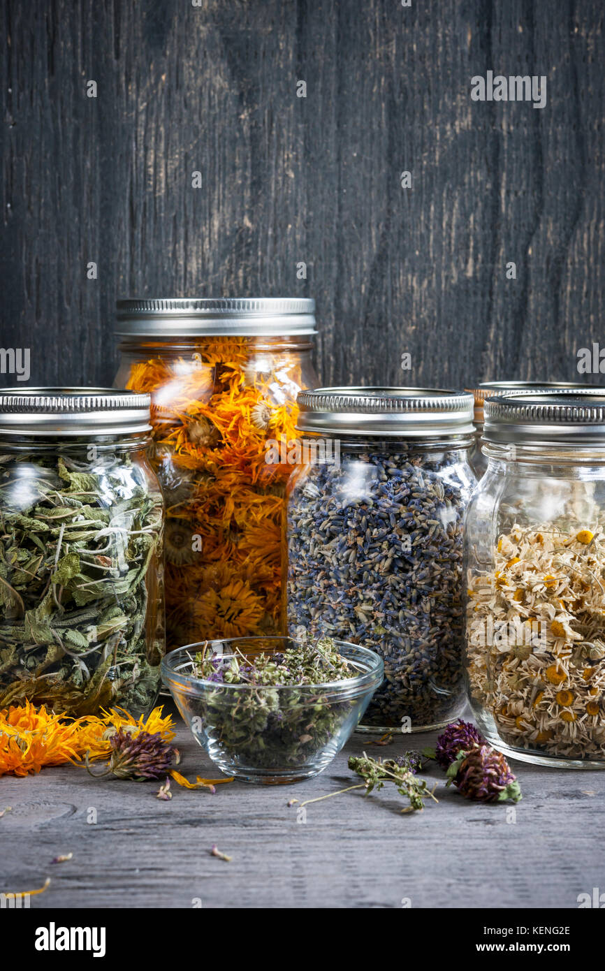 Various dried medicinal herbs and herbal teas in several glass jars on gray wood background Stock Photo