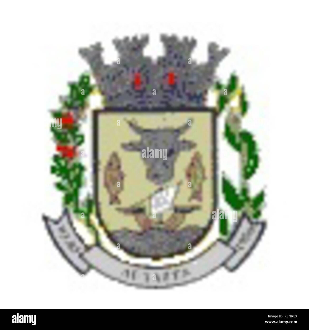 Page 10 Brasao High Resolution Stock Photography And Images Alamy